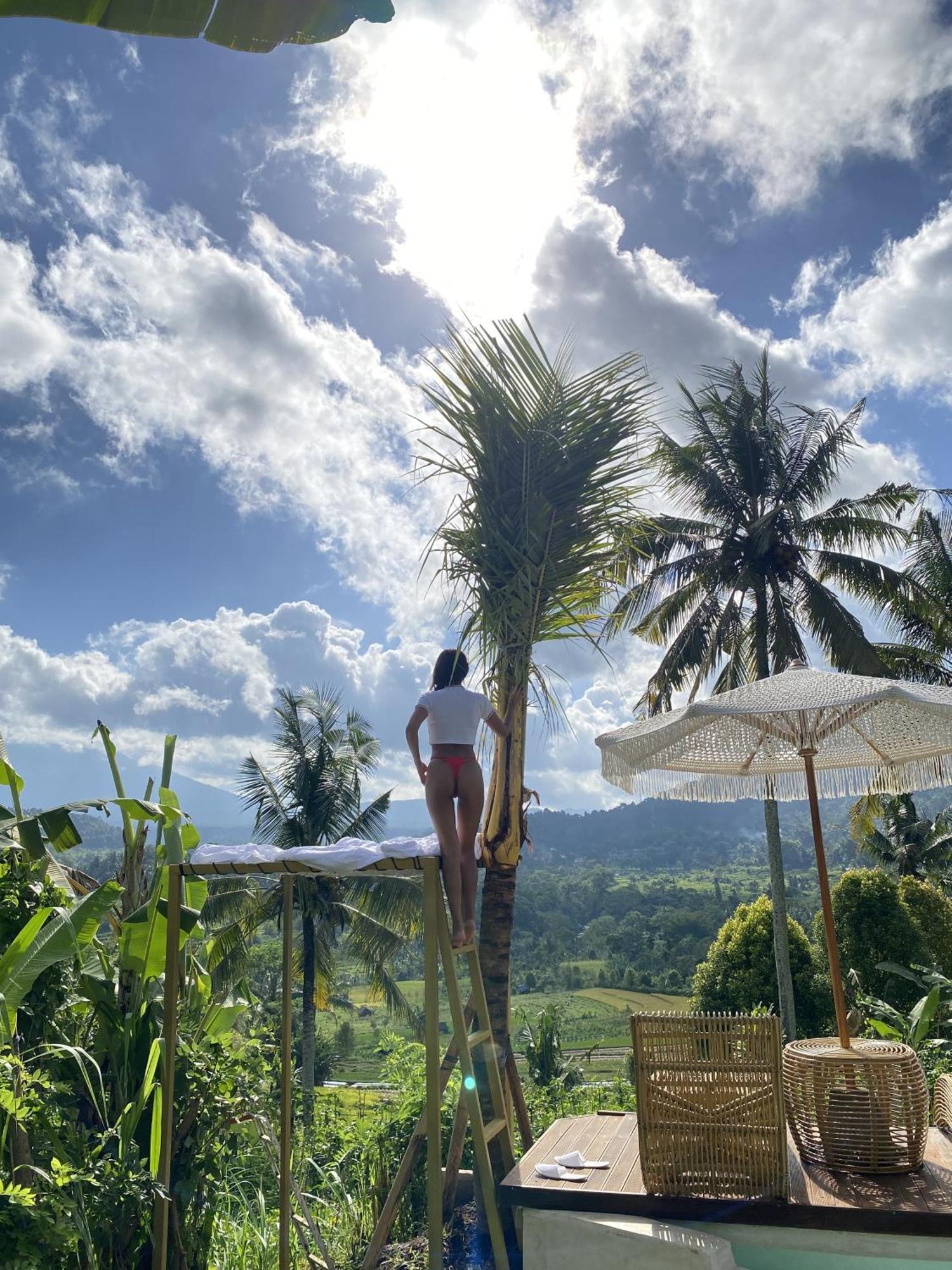 مبيت وإفطار سيديمين Gladak Di Uma Bali المظهر الخارجي الصورة